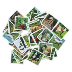 Memory></noscript>Ravensburger Memory Jonge Dieren Pocket