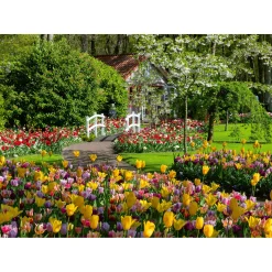 Legpuzzels> Ravensburger Puzzel keukenhof gardens 1000 stukjes