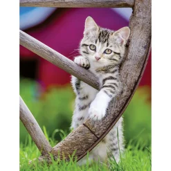 Legpuzzels> Ravensburger puzzel poezen 2 x 500 stukjes