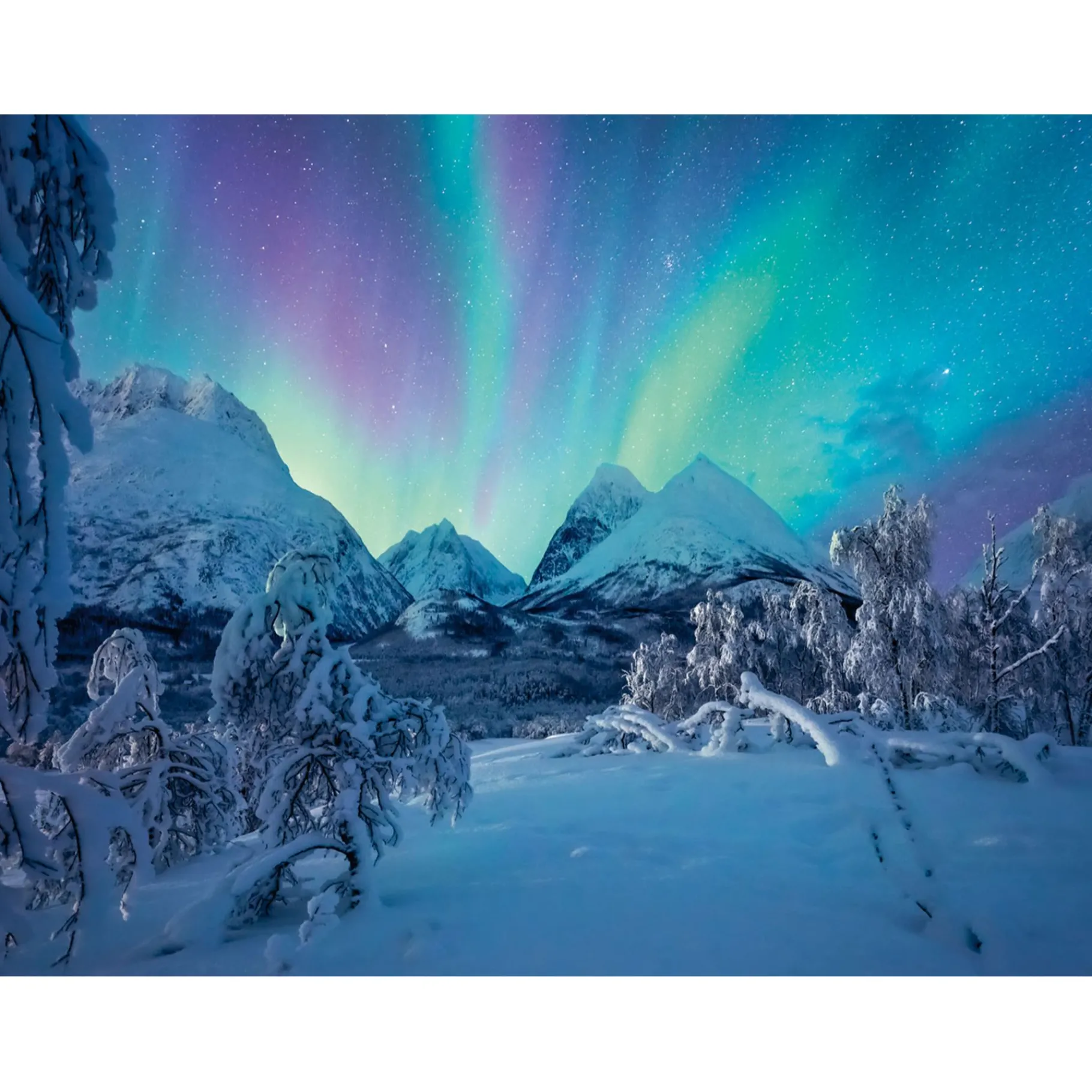 Legpuzzels> Ravensburger Puzzel wenn die nordlichter tanzen 1500 stukjes