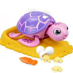 Robots> Reddings schildpad roze