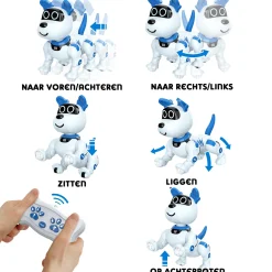 Robots><noscript><img width=