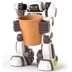 Robots><noscript><img width=