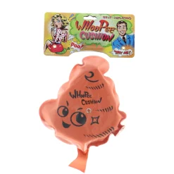 Scheetkussen> Scheetkussen drol 20 cm 5 assorti