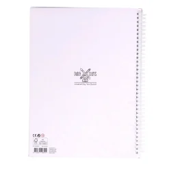 Papier><noscript><img width=