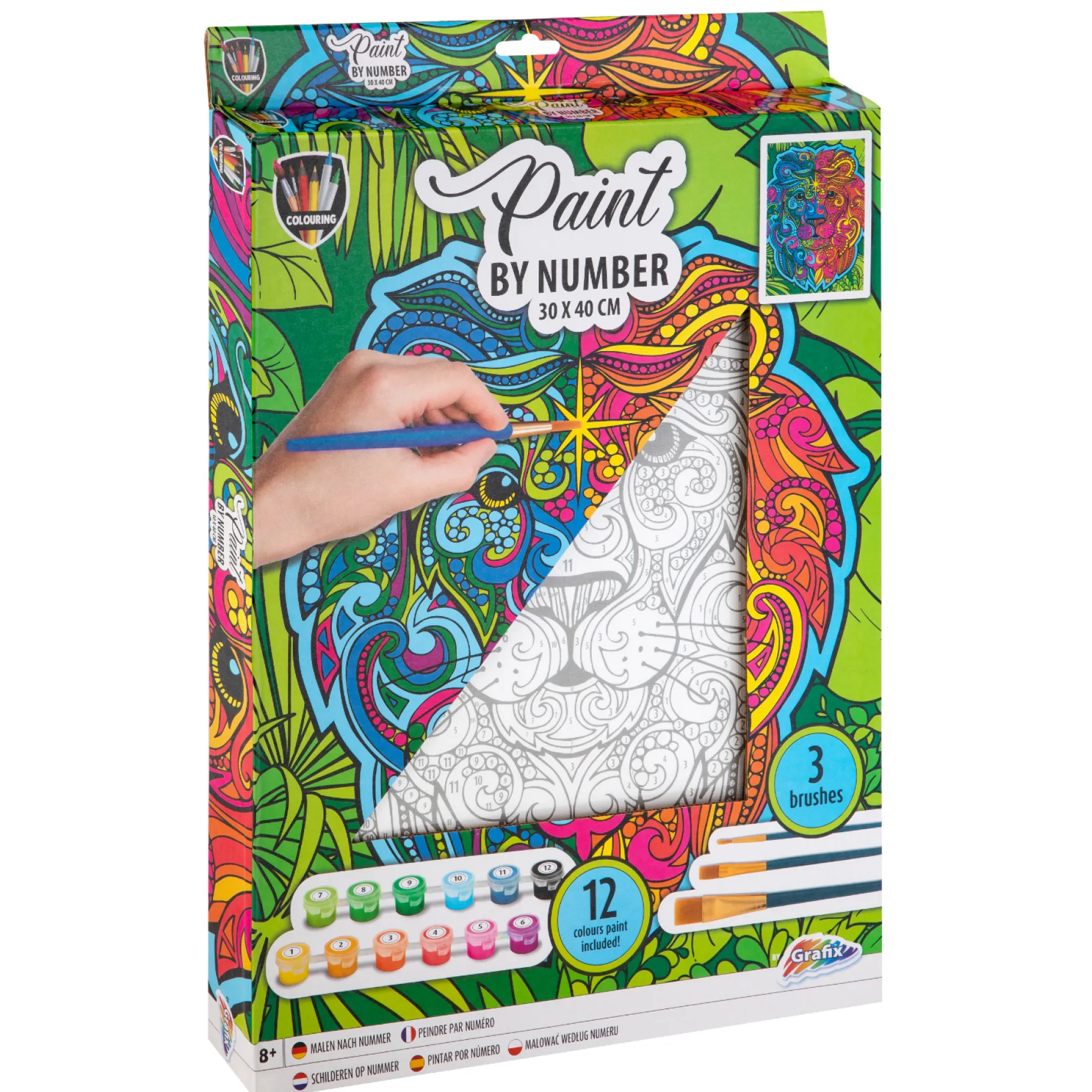 Verven / Schilderen> Schilderen Op Nummer Leeuw Canvas 30X40