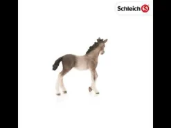 Speelfiguren>Schleich 13822  Andalusisch Veulen
