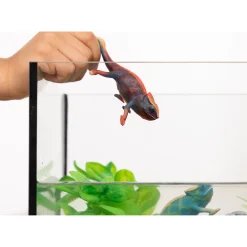 Speelfiguren><noscript><img width=