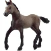 Speelfiguren>Schleich 13954 Paso Peruano Foal