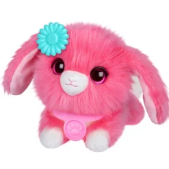 Overige><noscript><img width=