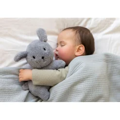 Plucheknuffels><noscript><img width=