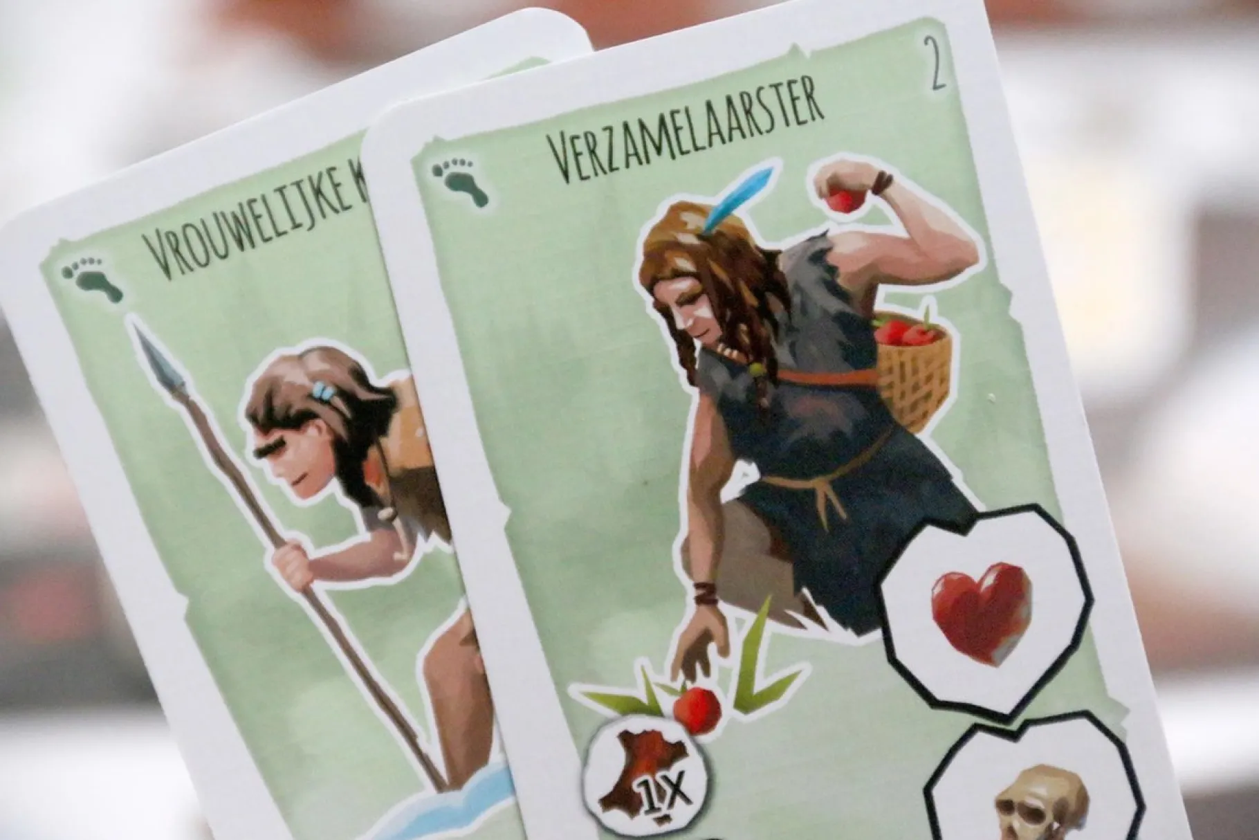 Familiespellen> Spel Paleo