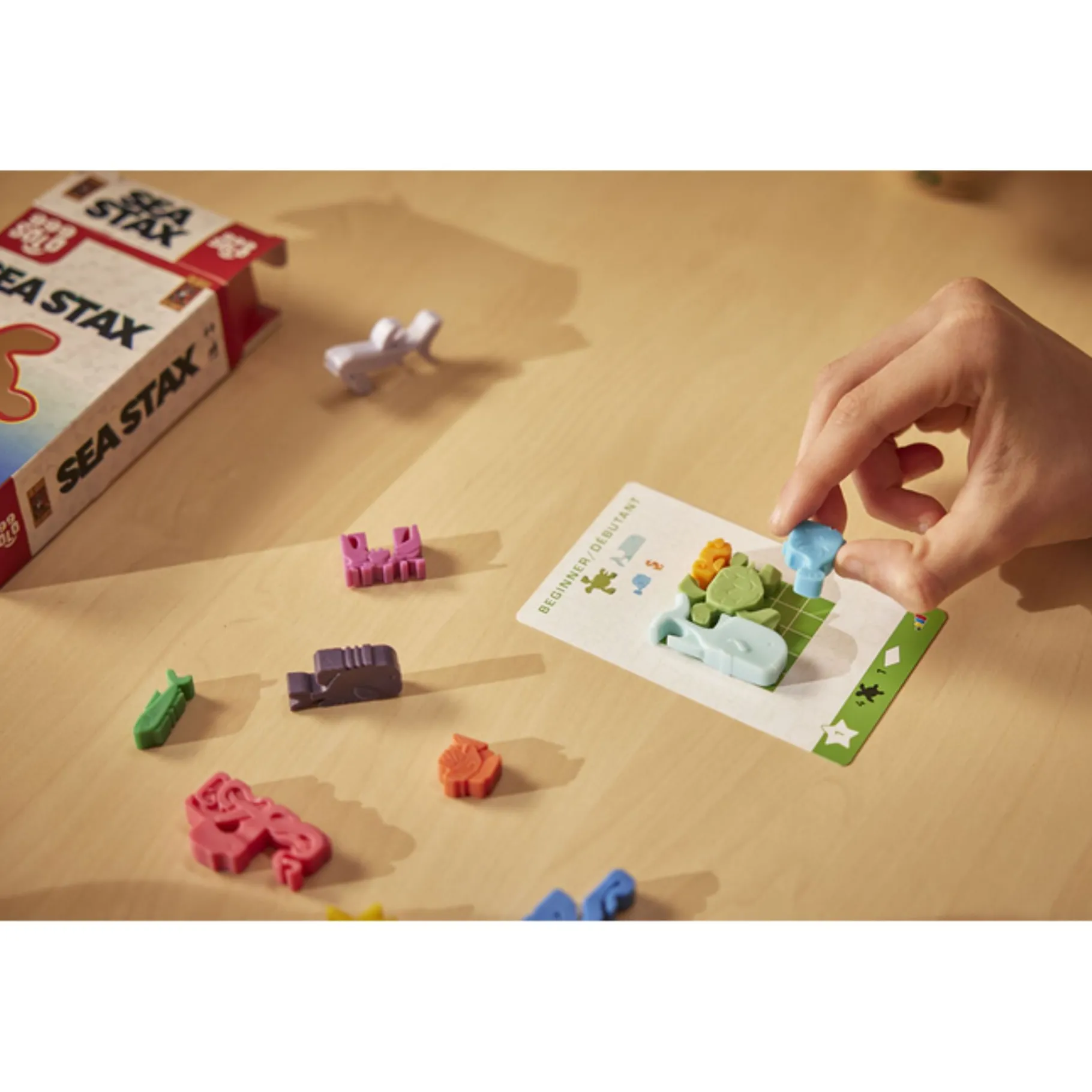 Denkspellen> Spel Sea Stax