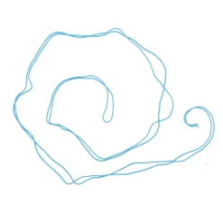 Springtouwen><noscript><img width=