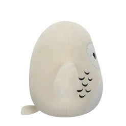 Overige><noscript><img width=