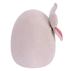 Overige><noscript><img width=