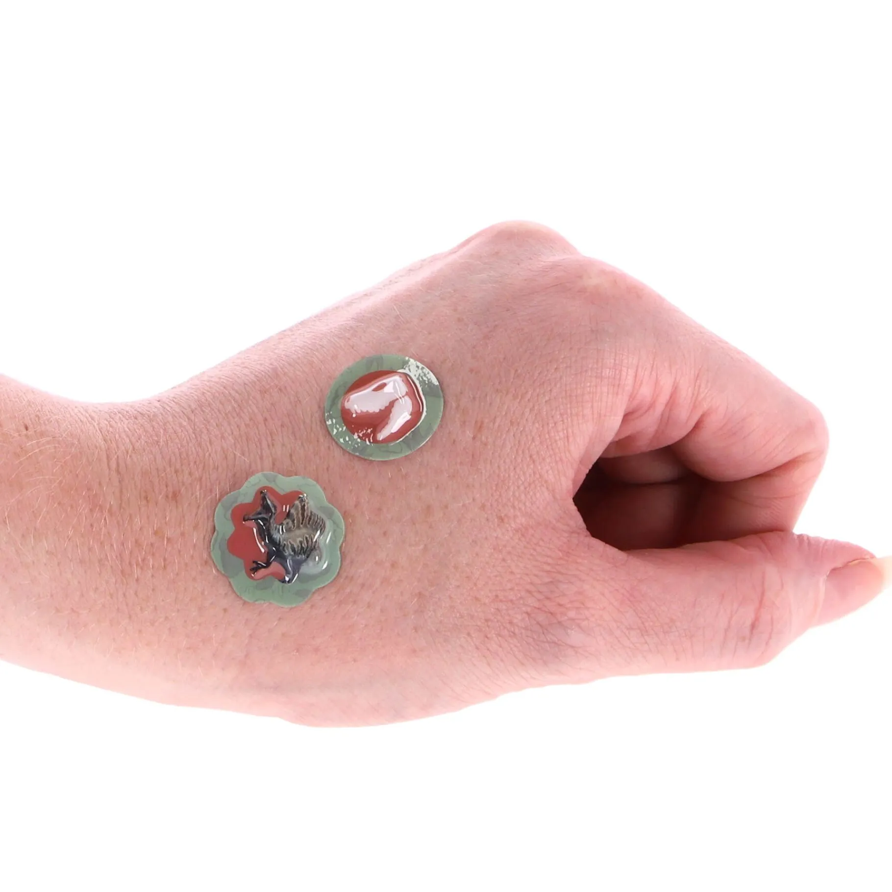 Stickers> Stickerset Dinosaurus 500-Delig