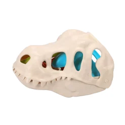 Zwemmen En Waterspeelgoed> Strandset dino