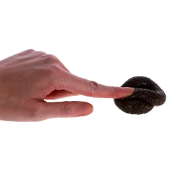 Fidget Toys> Stretchy Poop