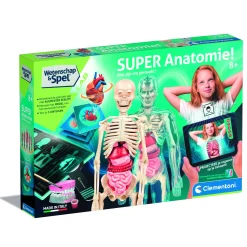 Wetenschapsspellen|Jongens> Wetenschap anatomie nl