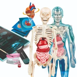 Wetenschapsspellen|Jongens> Wetenschap anatomie nl