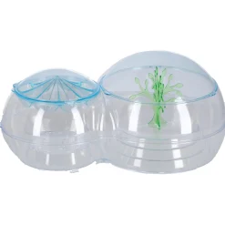 Wetenschapsspellen|Jongens></noscript> Wetenschap bio nl