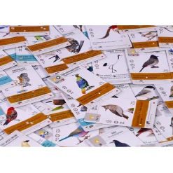 Bordspellen><noscript><img width=