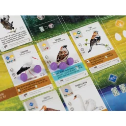 Bordspellen><noscript><img width=