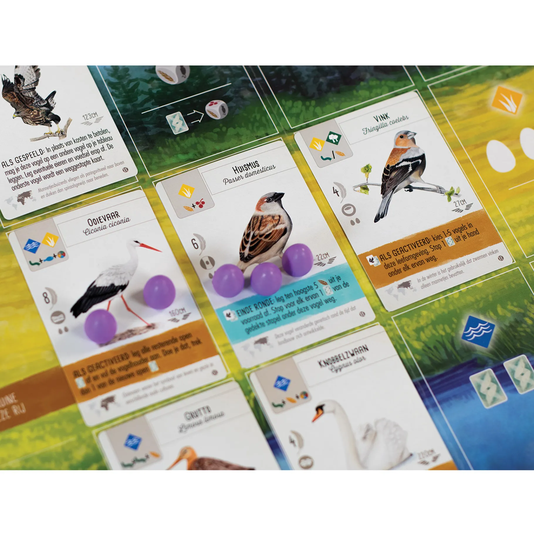 Bordspellen>999-games Wingspan Uitbreiding: Europa - Bordspel