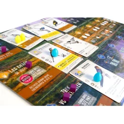 Bordspellen></noscript>999-games Wingspan Uitbreiding Oceanië - Bordspel